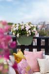 vibia campana flower bridge 40cm pistachio green